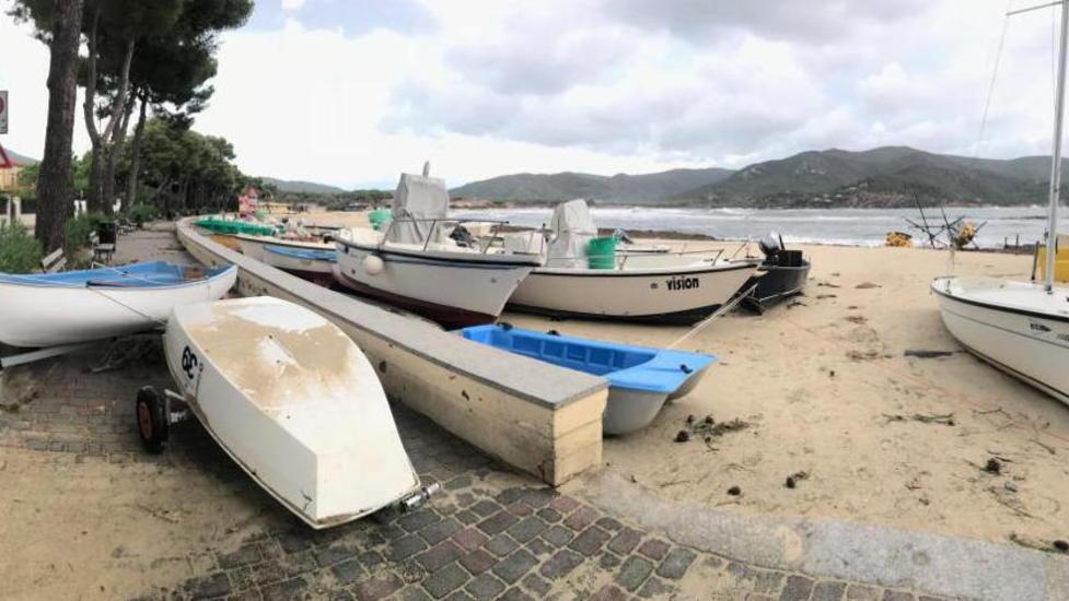 Porto, spiagge e locali sul mare Palombi: «Interverremo subito»