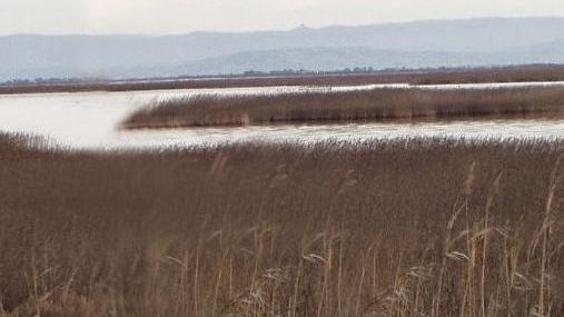 La Provincia ha bisogno di soldi Oltre nove milioni di beni all’asta