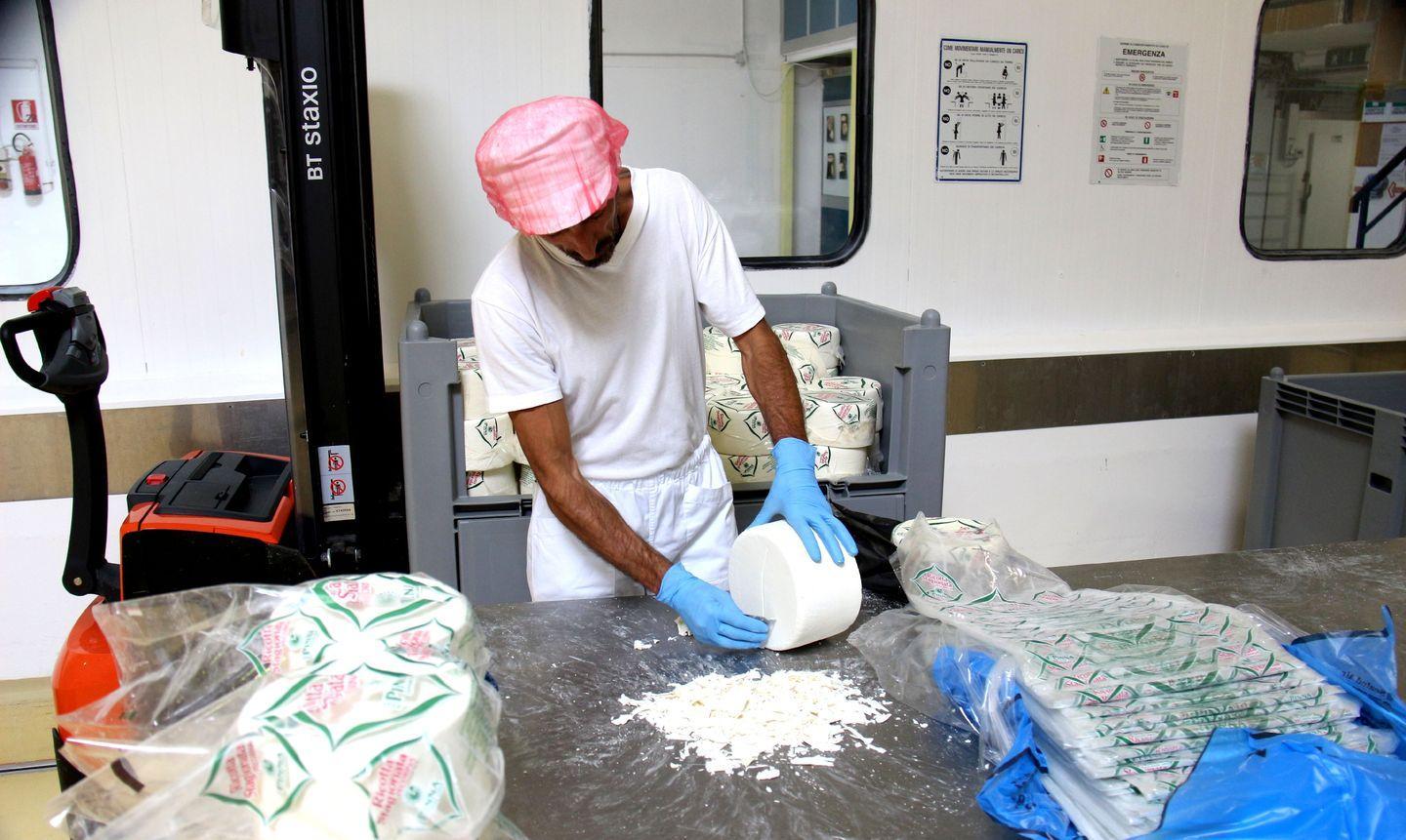 Oilos, arriva il via libera: regolerà il prezzo del latte 