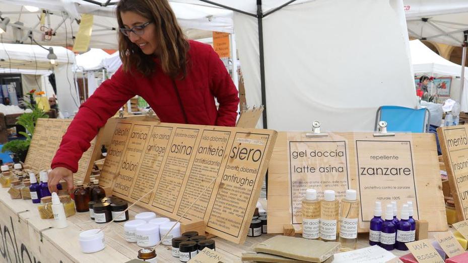 Parva Naturalia, piazza Roma a Modena diventa il regno del biologico