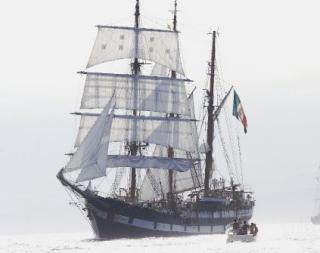Trofeo Vespucci, regata d'altura