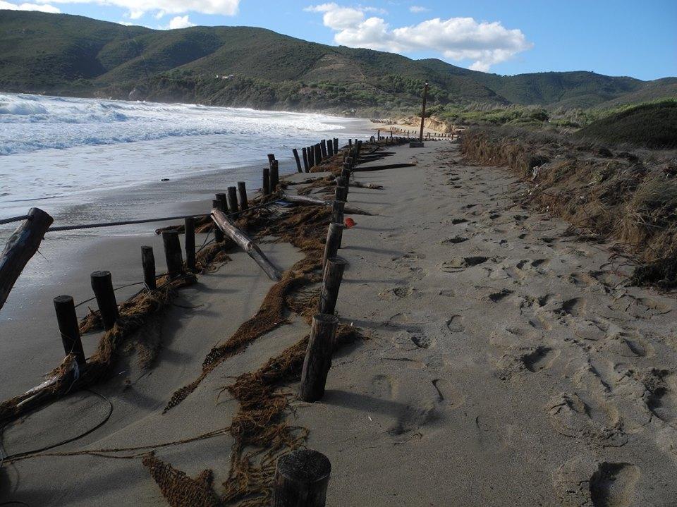 Il sistema dunale di Lacona danneggiato dalla mareggiata (foto Lacona Beach Supporters)