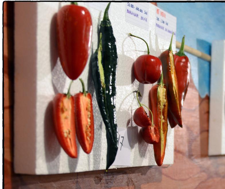 Contro la destra securitaria pasta, aglio, olio e peperoncino