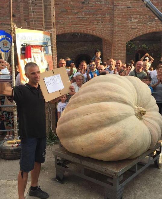 Da La Rotta agli studi della Rai la maxi zucca va a “Portobello” 