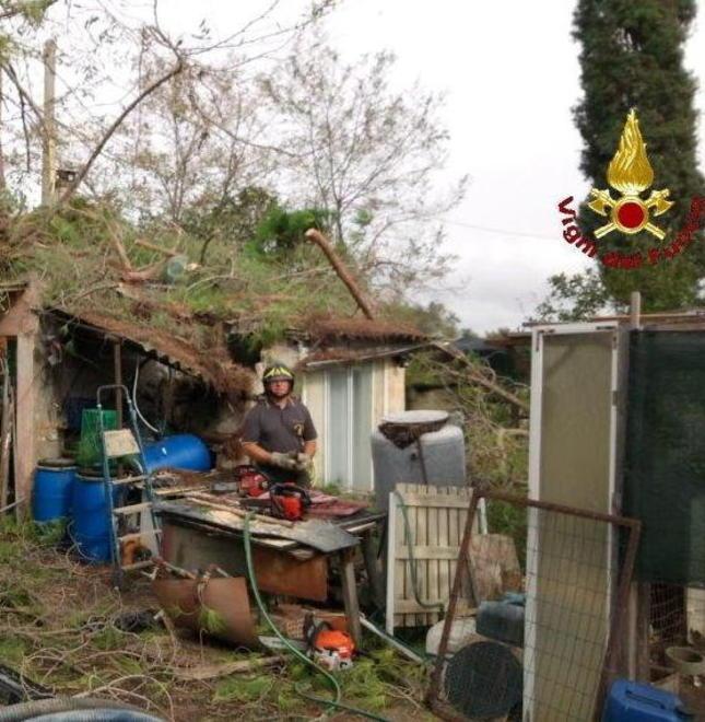 Albero piomba su annesso agricolo