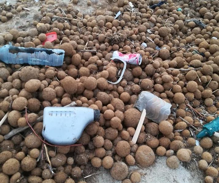 Mare di plastica dopo la libecciata 