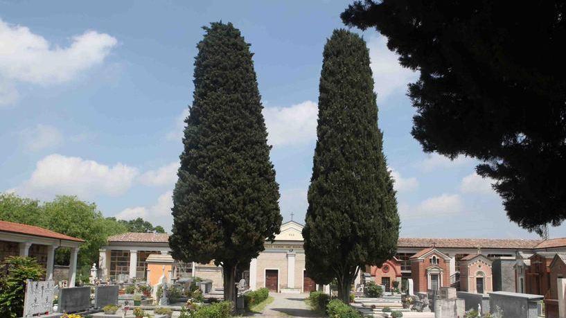 Raffiche di furti nei cimiteri spariti vasi, fiori e grondaie