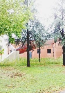 La palestra di S. Alessio