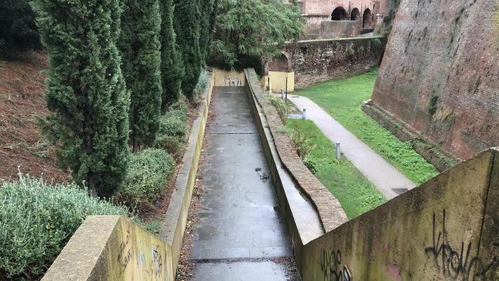 In centro le strappa gli abiti per stuprarla: lei si salva staccandogli la lingua a morsi