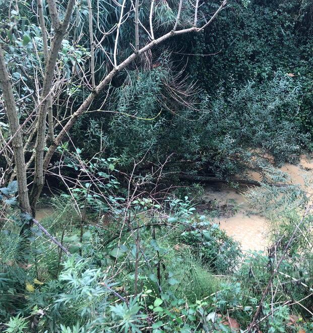 Preoccupa i cittadini il torrente Isola senza manutenzione 