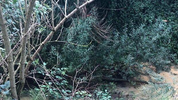 Preoccupa i cittadini il torrente Isola senza manutenzione