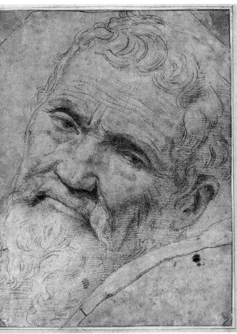 Michelangelo e la congiura della facciata di San Lorenzo