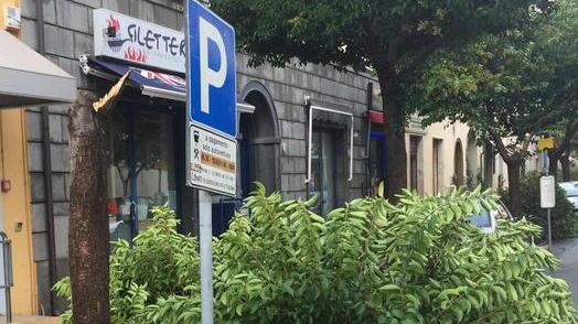 Alberi caduti per il vento gli interventi di recupero delle squadre interforze