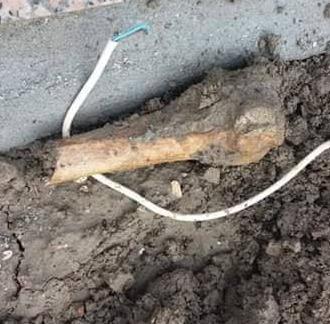 Resti di ossa umane La rabbia al cimitero 