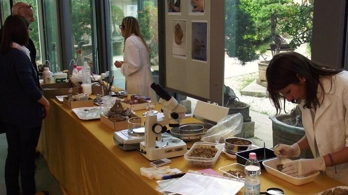 Parrana San Martino e la necropoli che ci riporta indietro di 3000 anni