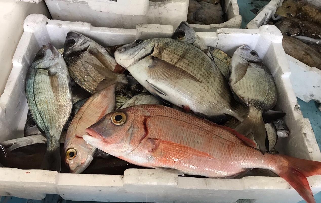 Guardie ittiche contro chi va a pesca di frodo 