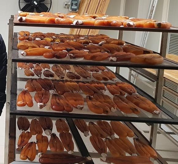 Ossigenazione, dall’acqua spuntano i vecchi macchinari 