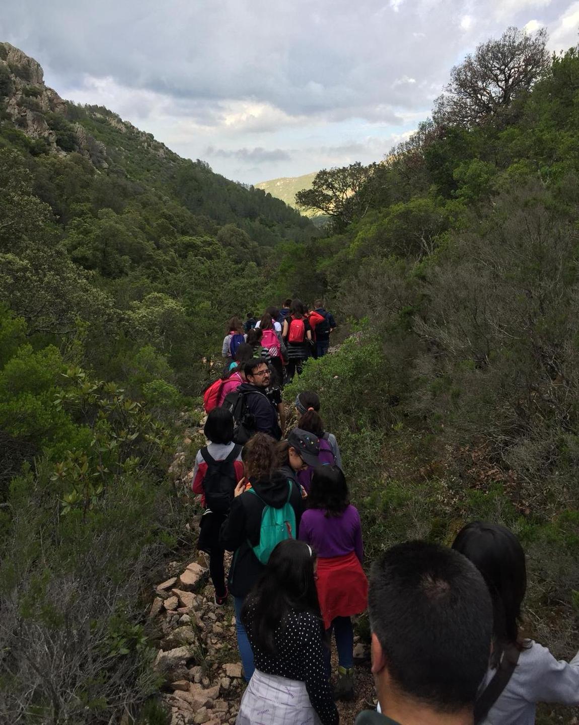 Riserva di biosfera Tepilora, un concorso per scegliere il logo