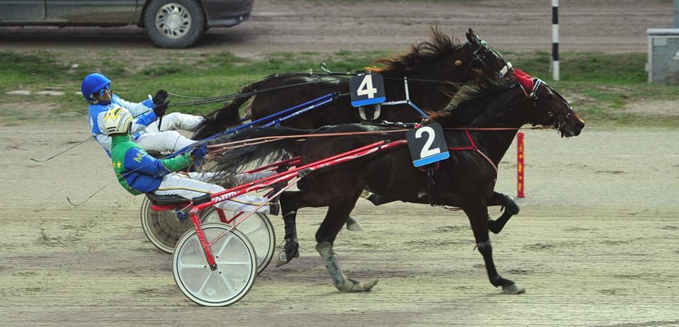 Zimmy Cup con merito al Ghirlandina 