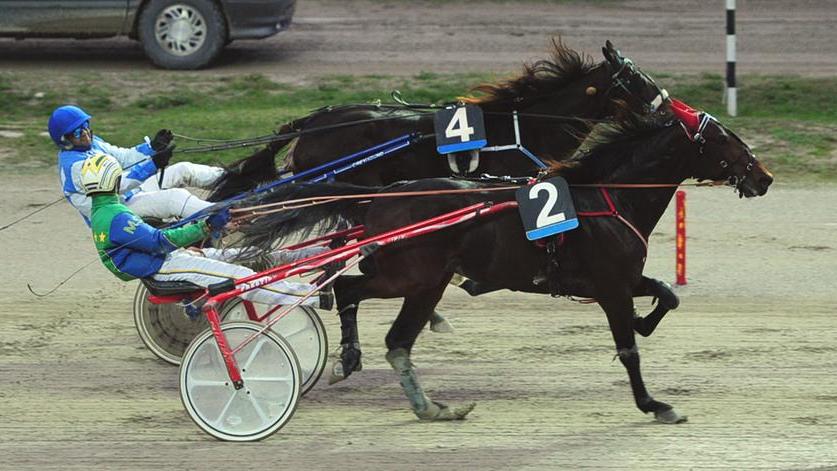 Zimmy Cup con merito al Ghirlandina