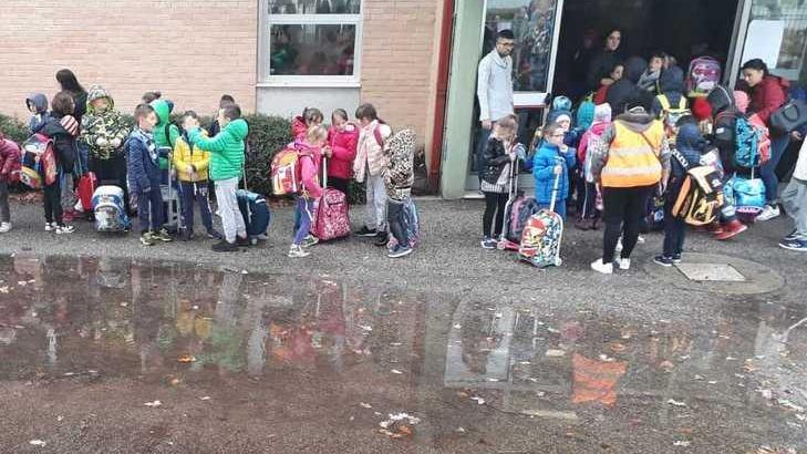 Lega contro Fiorentini «Piove nelle aule e si pensa alla piazza»