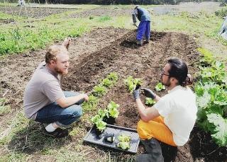 Fondi in arrivo per i giovani agricoltori