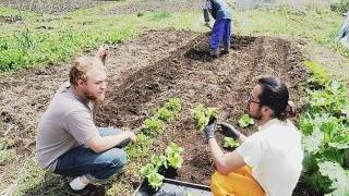 Fondi in arrivo per i giovani agricoltori