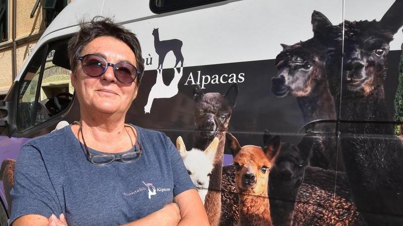 La capitale dell’alpaca è qui: in Maremma apre il primo atelier di filati