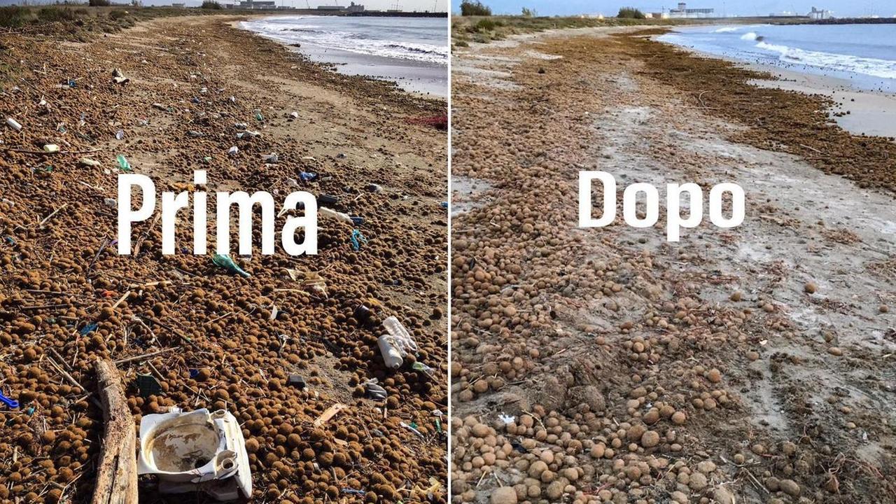Oristano, i volontari puliscono la spiaggia dopo la mareggiata