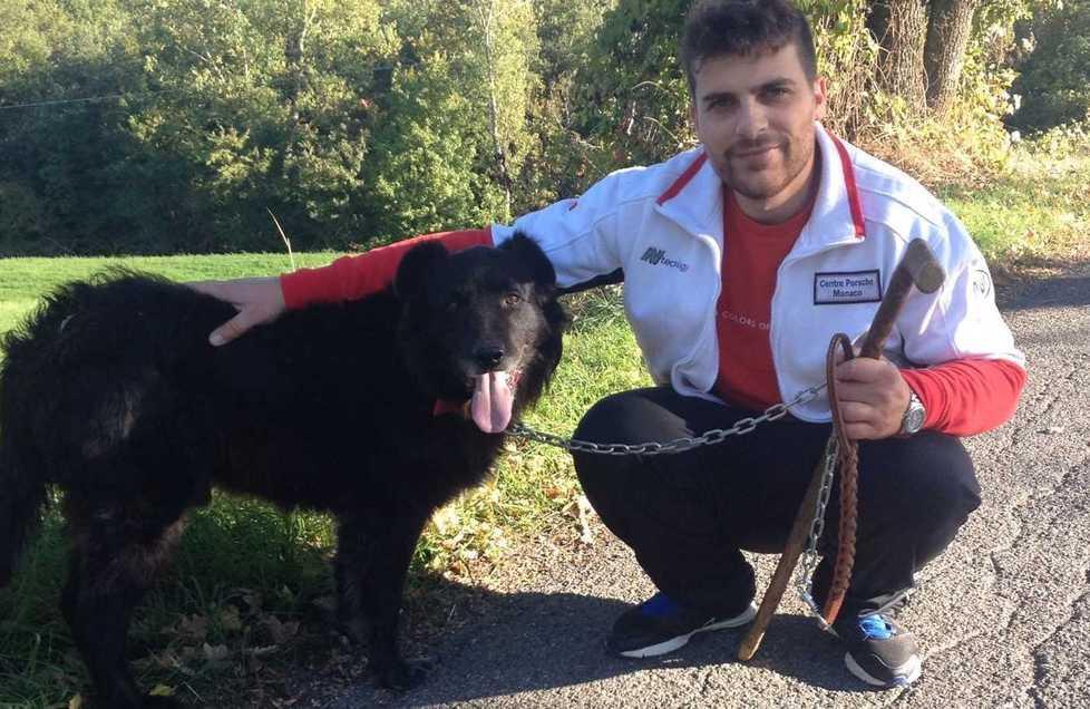«I lupi mi hanno sbranato i cani, adesso siamo preoccupati» 