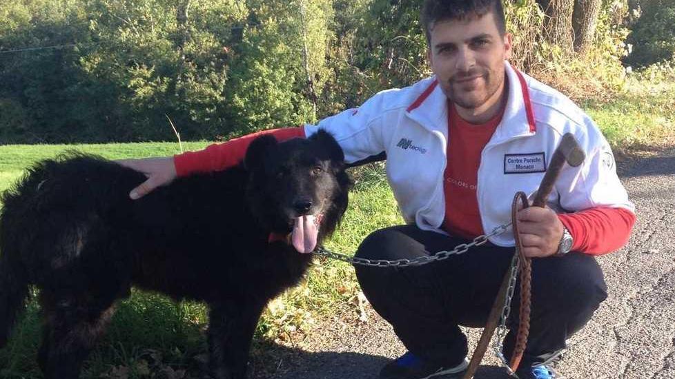«I lupi mi hanno sbranato i cani, adesso siamo preoccupati»