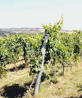 Annata da record (con scongiuri)
