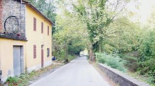 A sinistra i tunnel formati dai rami sopra la strada