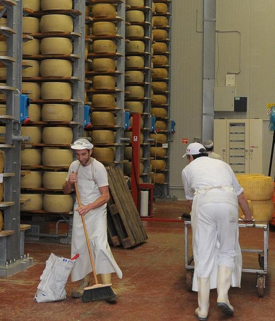 Caseifici in Norvegia: vinte sei medaglie da produttori modenesi