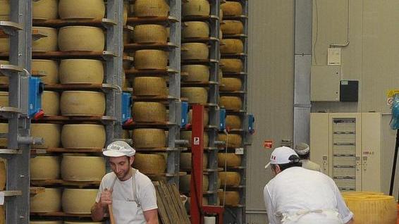 Caseifici in Norvegia: vinte sei medaglie da produttori modenesi