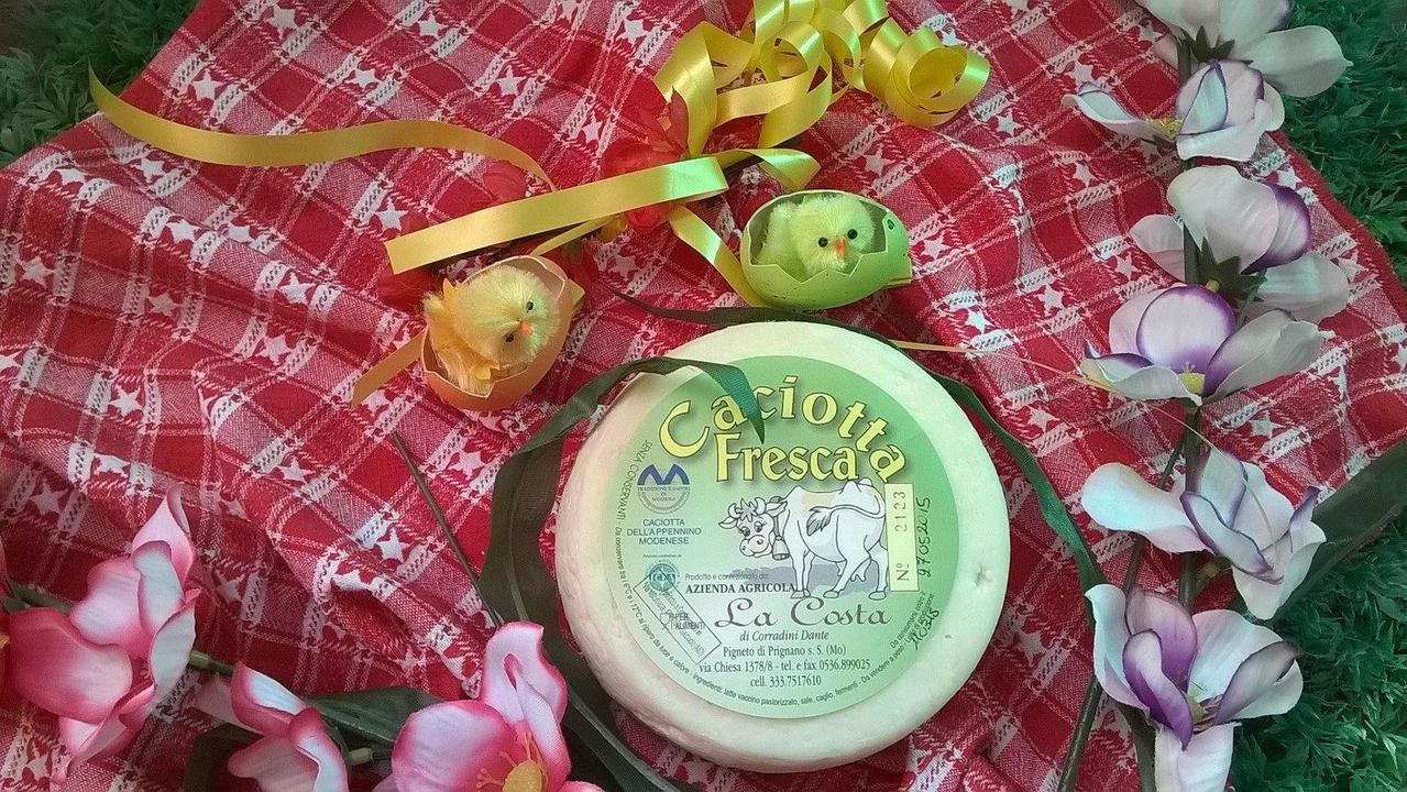 La Costa: qui i formaggi sono una tradizione e lo yogurt è da premio