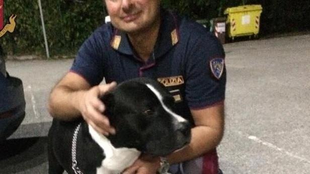 Teneva un pitbull a guardia della droga nascosta nell’auto