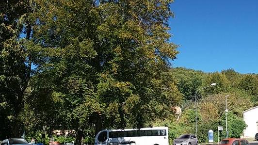 Rotonda di San Rocco Via libera dal consiglio