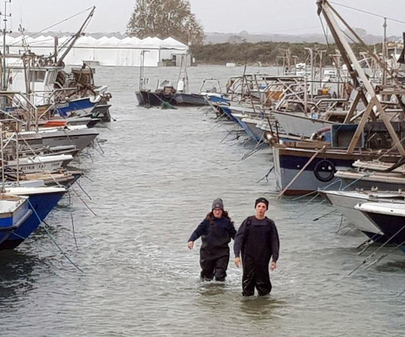 La forte mareggiata spazza via il novellame «I danni sono ingenti» 