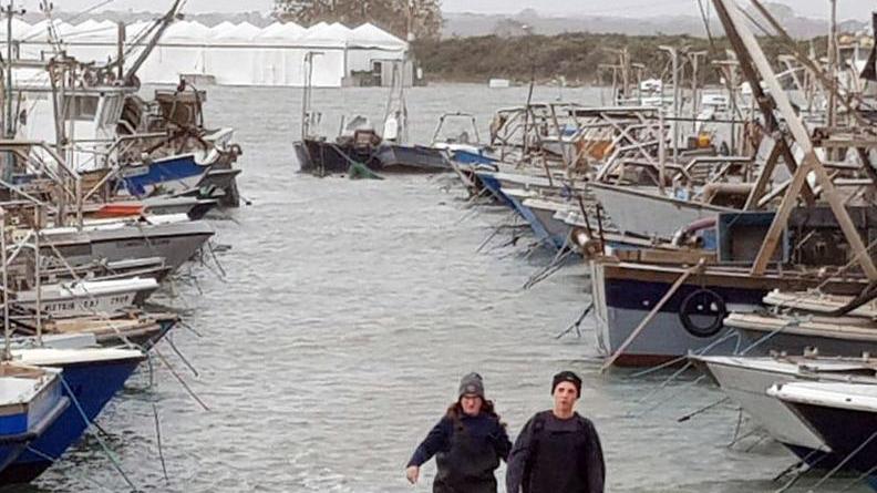 La forte mareggiata spazza via il novellame «I danni sono ingenti»