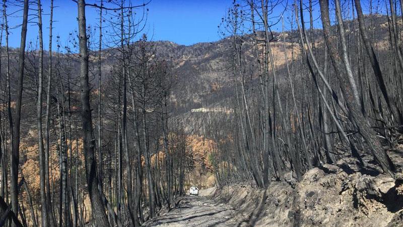 Monte Serra, lo Stato non paga i danni: ecco la motivazione