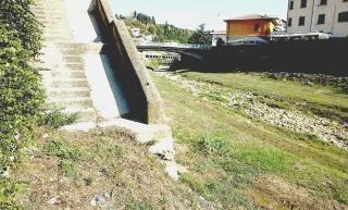 L'Arno adesso è più pulitoma gli argini d'Orme e Pesa sono invasi dai rifiuti