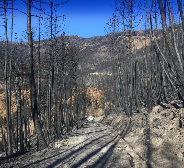 No ai soldi per l’incendio Ghimenti contro Roma: «Provo solo vergogna» 