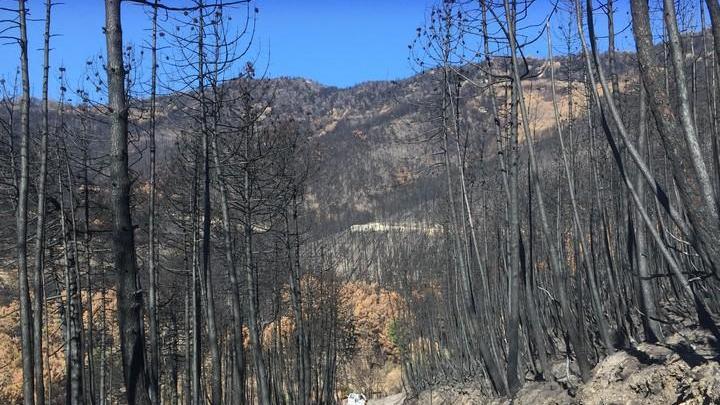 No ai soldi per l’incendio Ghimenti contro Roma: «Provo solo vergogna»