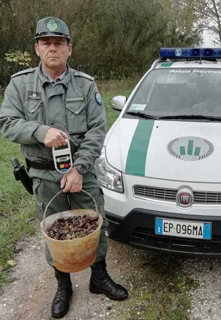 Troppe lumache raccolte Scoperto e multato 