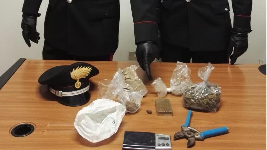 Vignola. Gestore di un ostello trovato con hascisc e marijuana