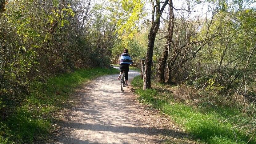 Modena. In auto sul Percorso natura, multato pescatore
