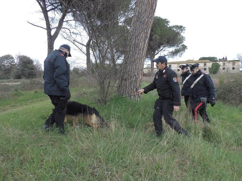 I cani antidroga dei carabinieri (archivio)