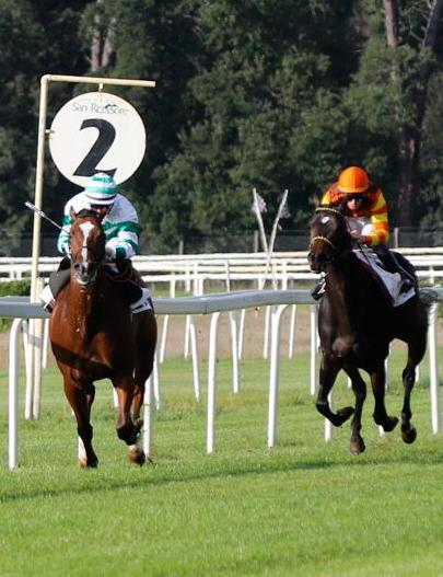 Ippica, il debuttante Altrimenti trionfa nel Premio Litorale Pisano 
