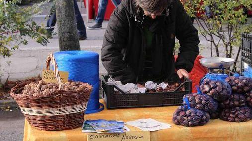 Domenica la Spergola “sposa” il signor Tartufo